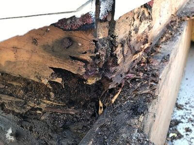 Professional water damage restoration services in Monterey Park - BlueCraft Crew